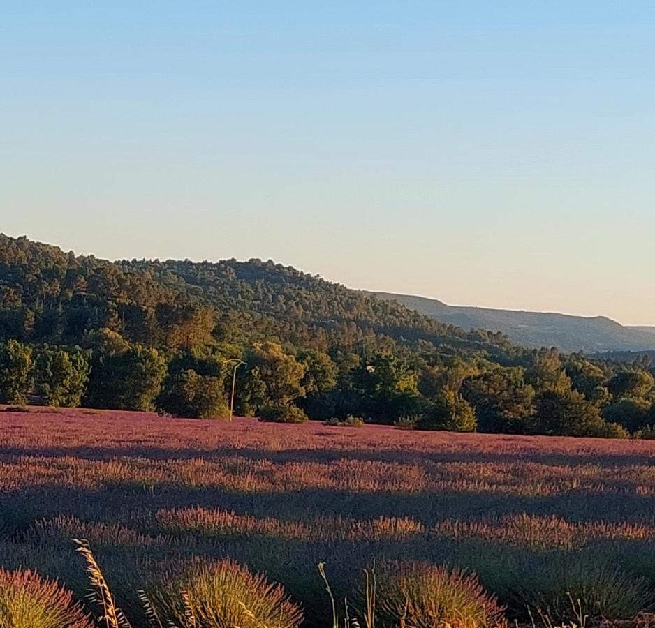 Appartement Roussillon Roussillon en Isere 외부 사진