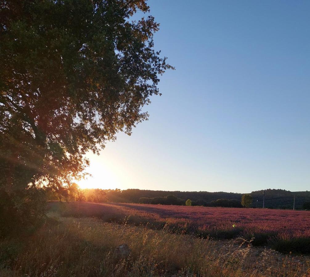 Appartement Roussillon Roussillon en Isere 외부 사진